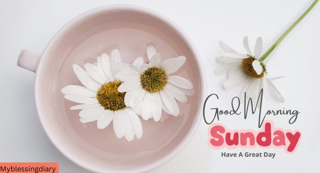 happy sunday morning