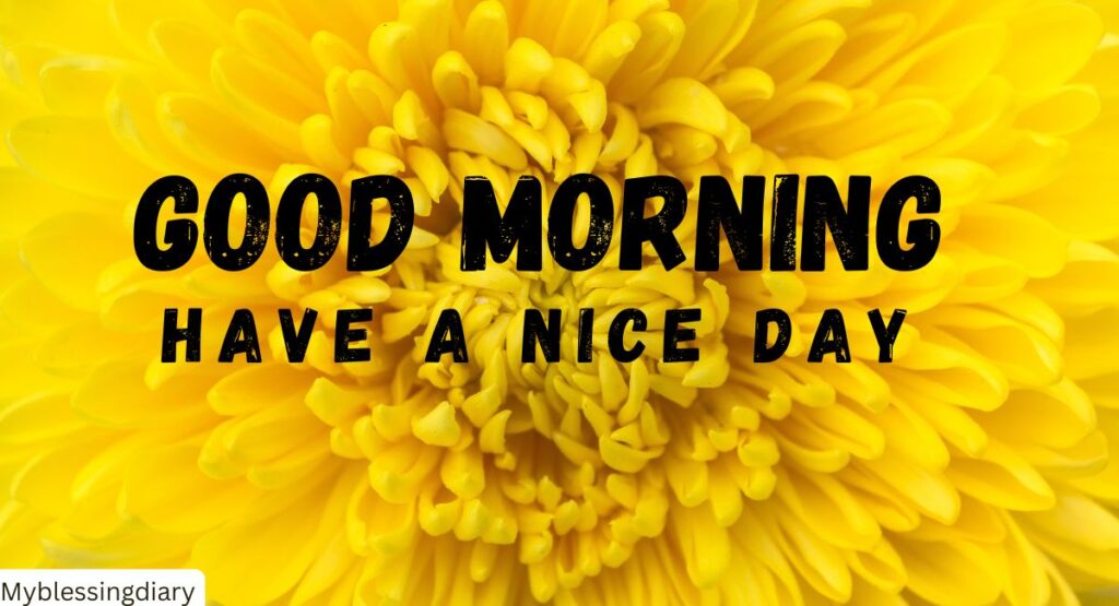 Inspirational & Motivational Morning Quotes