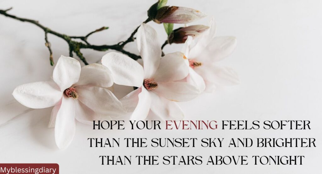 Short and Simple Good Evening Texts for Everyday Wishes