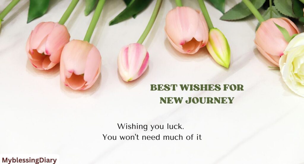 best wishes for new journey