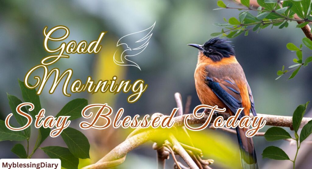 good morning message for a friend
