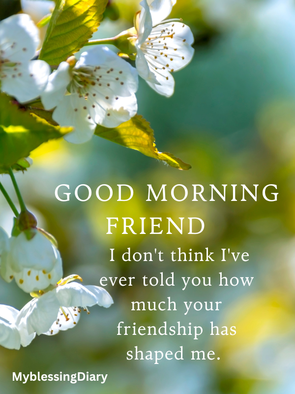 good morning message for my friend