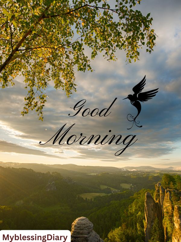 good morning bro