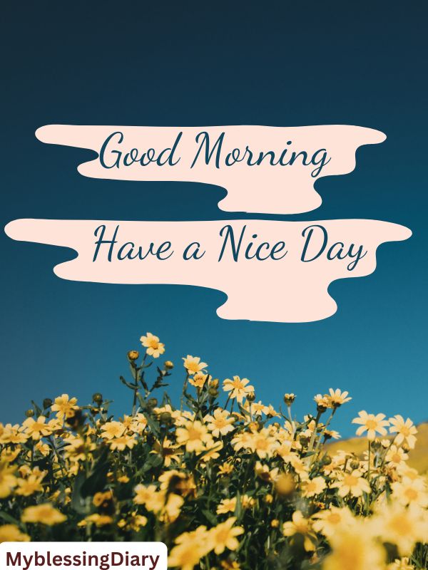 good morning bro